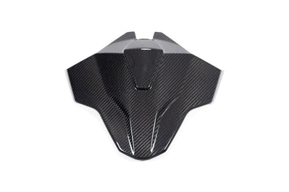 Ilmberger Tail fairing Monoposto M 1000 RR - carbon - glossy