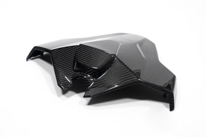 Ilmberger Tail fairing Monoposto M 1000 RR - carbon - glossy