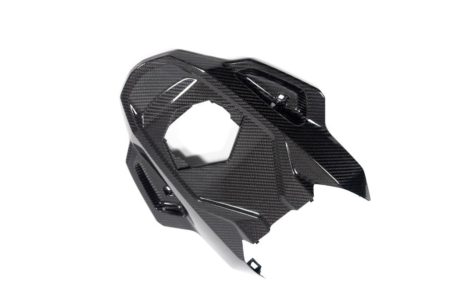 Ilmberger Frame protector M 1000 RR - carbon - glossy
