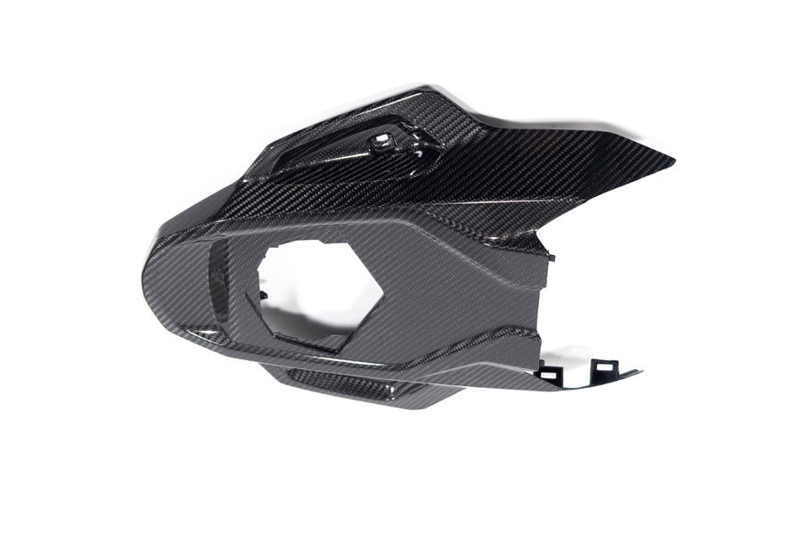 Ilmberger Frame protector M 1000 RR - carbon - glossy