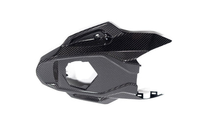 Ilmberger Frame protector M 1000 RR - carbon - glossy