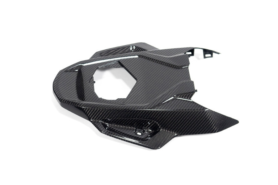 Ilmberger Frame protector M 1000 RR - carbon - glossy