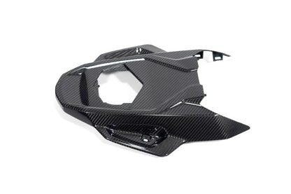 Ilmberger Frame protector M 1000 RR - carbon - glossy