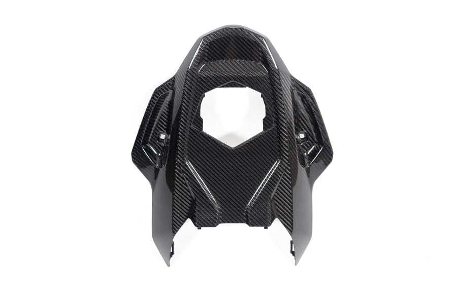 Ilmberger Frame protector M 1000 RR - carbon - glossy