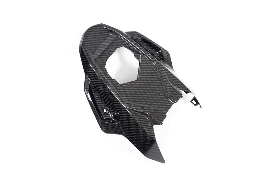 Ilmberger Frame protector M 1000 RR - carbon - glossy