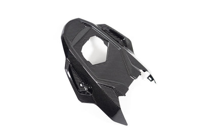 Ilmberger Frame protector M 1000 RR - carbon - glossy