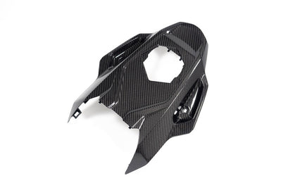 Ilmberger Frame protector M 1000 RR - carbon - glossy