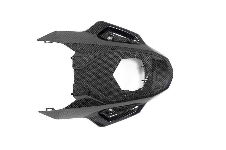 Ilmberger Frame protector M 1000 RR - carbon - glossy