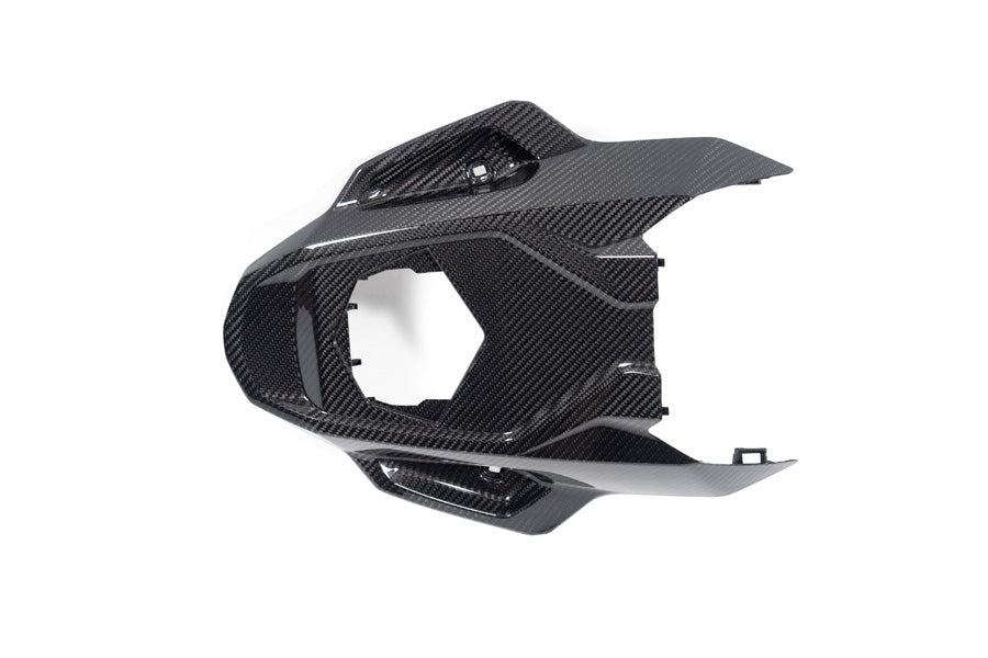 Ilmberger Frame protector M 1000 RR - carbon - glossy