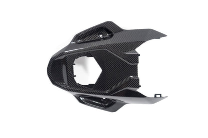 Ilmberger Frame protector M 1000 RR - carbon - glossy