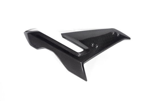 Ilmberger Side Fairing S 1000 R - right - carbon - glossy