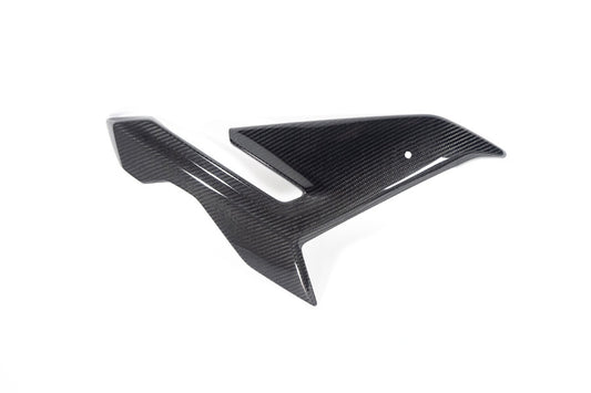 Ilmberger Side fairing - carbon - right