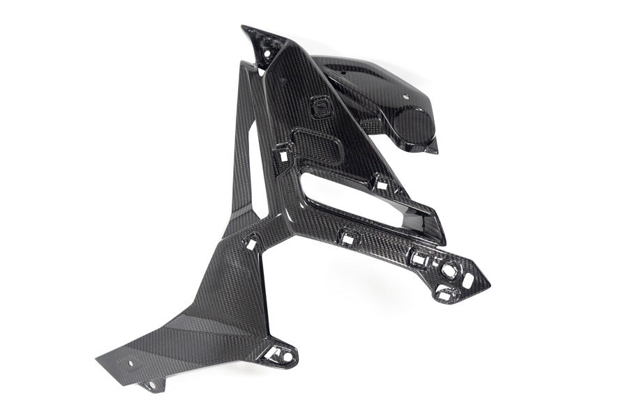 Ilmberger Radiator protection M 1000 R - left - carbon - glossy