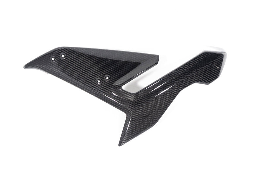 Ilmberger Side Fairing S 1000 R - left - carbon - glossy