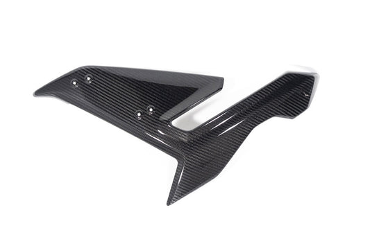 Ilmberger Side Fairing S 1000 R - left - carbon - glossy