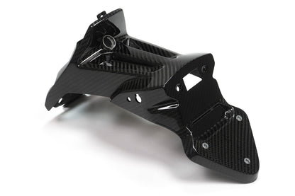 Ilmberger Licence plate holder S 1000 XR - large - carbon - glossy