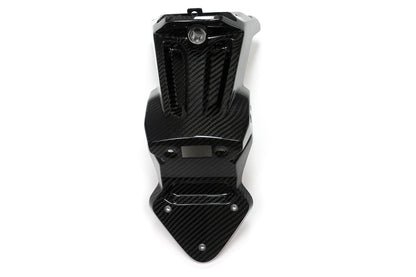 Ilmberger Licence plate holder S 1000 XR - large - carbon - glossy