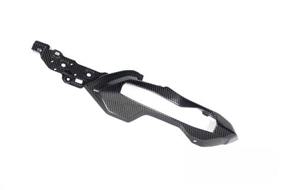 Rear Frame Cover Carbon BMW S 1000 XR 2024 - left - carbon - glossy