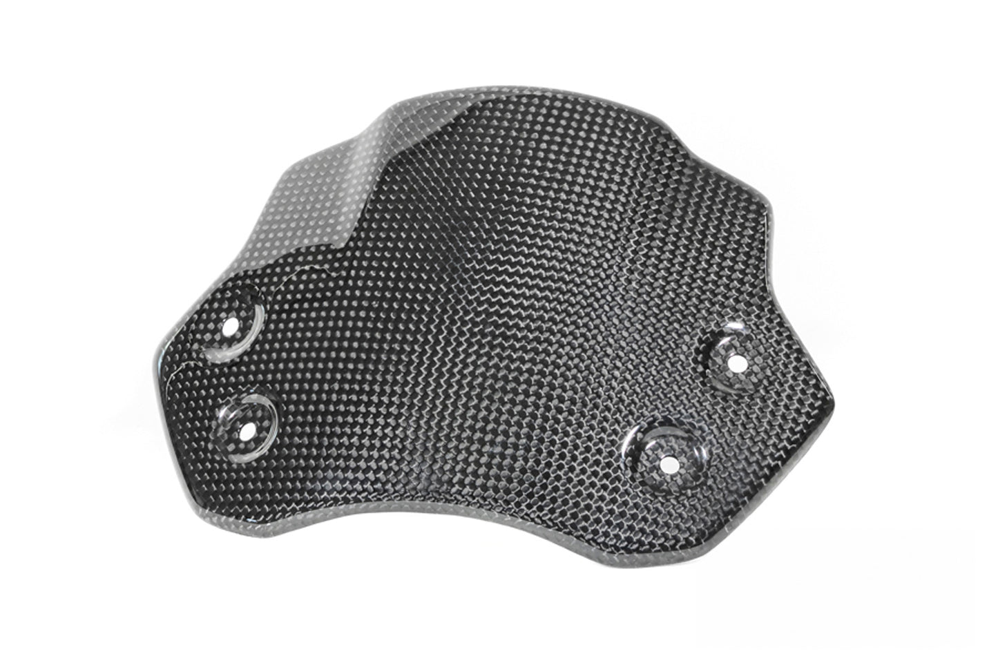 Ilmberger Carbon Windshield BMW R12 nineT (2024-) - carbon - glossy