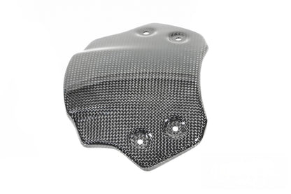 Ilmberger Carbon Windshield BMW R12 nineT (2024-) - carbon - glossy