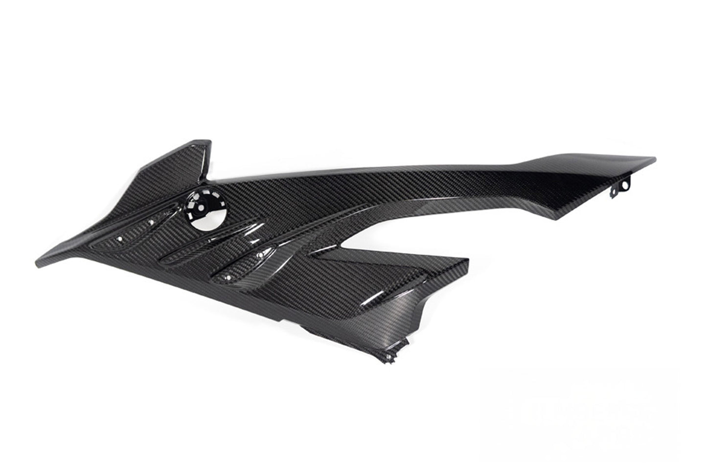 Ilmberger Carbon Side Fairing Panel Road – BMW S 1000 RR from 2023 - left - carbon - glossy