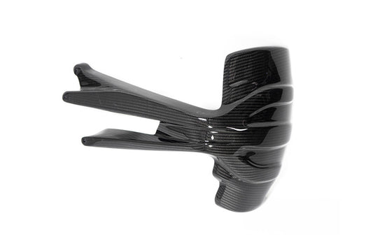 Ilmberger Splash guard R 1250 GS - rear - carbon - glossy