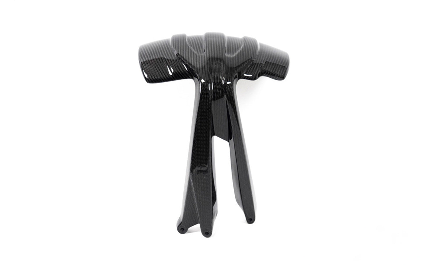 Ilmberger Splash guard R 1250 GS - rear - carbon - glossy