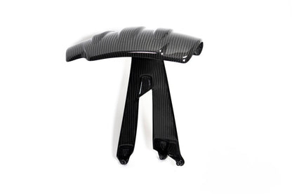 Ilmberger Splash guard R 1250 GS - rear - carbon - glossy