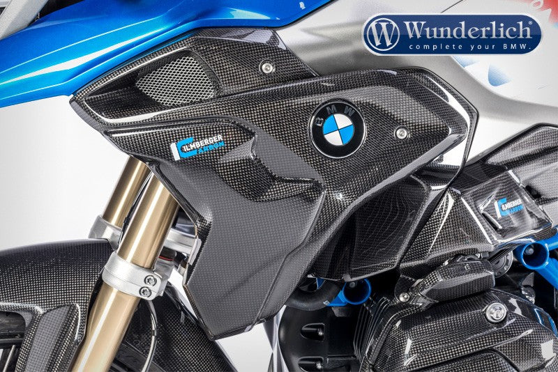 Airtube complete incl Flap BMW R1200 GS (2017-) - left - carbon