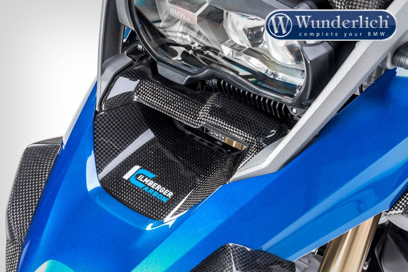 Windchannel on the front beak BMW R 1200 GS LC (2017-) - carbon